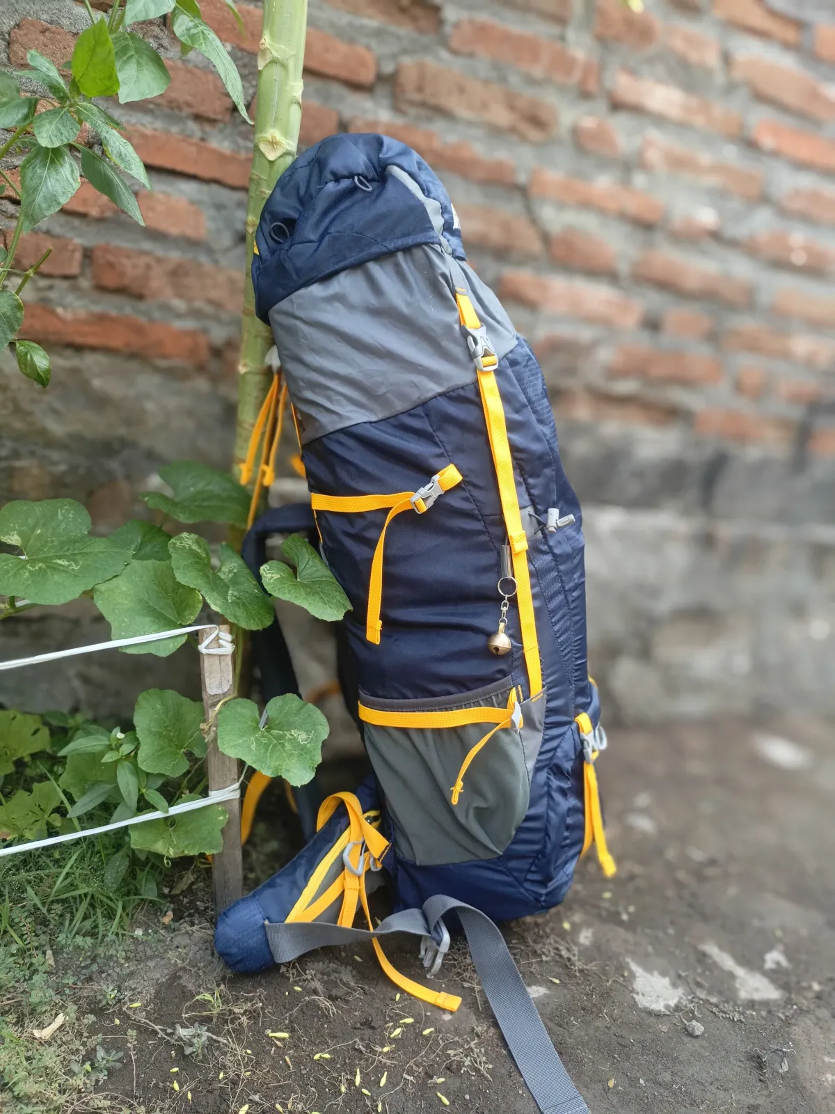 Tas Carrier (60-70L)