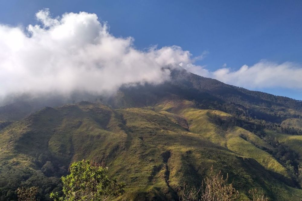 Gunung Pundak Jadi Destinasi Favorit Pendaki Pemula di Mojokerto